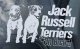 ◆ジャックラッセルテリア (6)◆外張り カーステッカー カー ステッカー 170×100mm 外貼り■小型犬 イギリス Jack Russell Terrier JRT ジャック・ラッセル・テリア ジャック・ラッセル ジャックラッセル ジャックラッセルテリア ジャックラッセル・テリア ジャック ラッセル テリア