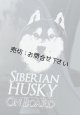 【送料無料／在庫あり かっこいい おしゃれ ステッカー ご購入後スグ発送】カーステッカー シール【外張り(外貼り)】205×100mm■ハスキー,シベリアンハスキー,シベリアン・ハスキー,(6),Siberian Husky