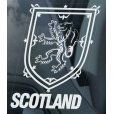 画像1: 【送料無料／在庫あり かっこいい おしゃれ ステッカー ご購入後スグ発送】カーステッカー シール【外張り(外貼り)】150×100mm■スコットランド王国の国章,イギリス UK スコットランド 国章/SCOTLAND Royal Arms Lion Flag/#1/国旗/国章/ナショナルフラッグ  (1)