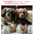 画像3: 【 お写真から作成・１枚目・デザイン料込み／わんちゃん5匹のデザイン 】 スナップ写真・スマホ画像から作れます 【 オリジナルカーステッカー 】【外張り/内張り/ブラック印字 選択可能】【文字入れ自由】【送料無料】 愛犬やペットのお写真から作成して ネーム入れ も 【１〜２ヶ月後に発送】 (3)