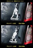 画像2: 【 ダルマドール / ラブメシアン 】スモークウインドウ に映える ホワイト 印字 カーステッカー【図柄バリエーション】【外張り 内張り ブラック印字】　ラブラドール ダルメシアン Cross Breed  ミックス ミックス犬 大型犬 Dalmador 【送料無料】【お取り寄せ】 === 犬 わんちゃん 愛犬 ペット の カー・ステッカー スモーク ・ウインドウ に映える 白色印字 カー ステッカー Dog on Board ダルメシアン ラブラドール・レトリーバ Mix ブラック印字は 白いボディに