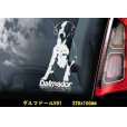 画像3: 【 ダルマドール / ラブメシアン 】スモークウインドウ に映える ホワイト 印字 カーステッカー【図柄バリエーション】【外張り 内張り ブラック印字】　ラブラドール ダルメシアン Cross Breed  ミックス ミックス犬 大型犬 Dalmador 【送料無料】【お取り寄せ】 === 犬 わんちゃん 愛犬 ペット の カー・ステッカー スモーク ・ウインドウ に映える 白色印字 カー ステッカー Dog on Board ダルメシアン ラブラドール・レトリーバ Mix ブラック印字は 白いボディに (3)