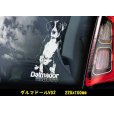 画像4: 【 ダルマドール / ラブメシアン 】スモークウインドウ に映える ホワイト 印字 カーステッカー【図柄バリエーション】【外張り 内張り ブラック印字】　ラブラドール ダルメシアン Cross Breed  ミックス ミックス犬 大型犬 Dalmador 【送料無料】【お取り寄せ】 === 犬 わんちゃん 愛犬 ペット の カー・ステッカー スモーク ・ウインドウ に映える 白色印字 カー ステッカー Dog on Board ダルメシアン ラブラドール・レトリーバ Mix ブラック印字は 白いボディに (4)