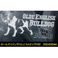 画像6: 【 オールディイングリシュブルドッグ 】 スモークウインドウ に映える ホワイト 印字 カーステッカー 【図柄バリエーション】【外張り 内張り ブラック印字】 大型犬 アメリカ Olde English Bulldog 【送料無料】【お取り寄せ】 === オールディ・イングリシュ・ブルドッグ オールド・イングリッシュ・ブルドッグ 犬 わんちゃん 愛犬 カー・ステッカー 外貼り 内貼り ウインドウ 白色印字 黒色印字 / ブラック印字は 白いボディに (6)
