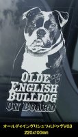 画像8: 【 オールディイングリシュブルドッグ 】 スモークウインドウ に映える ホワイト 印字 カーステッカー 【図柄バリエーション】【外張り 内張り ブラック印字】 大型犬 アメリカ Olde English Bulldog 【送料無料】【お取り寄せ】 === オールディ・イングリシュ・ブルドッグ オールド・イングリッシュ・ブルドッグ 犬 わんちゃん 愛犬 カー・ステッカー 外貼り 内貼り ウインドウ 白色印字 黒色印字 / ブラック印字は 白いボディに