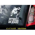 画像3: 【 ピットブル 】 スモークウインドウ に映える ホワイト 印字 カーステッカー 【図柄バリエーション】【外張り 内張り ブラック印字】 中型犬 アメリカ Pitbull Pit Bull Terrier 【送料無料】【お取り寄せ】 マスティフ === アメリカン・ピット・ブル・テリア ピット ブル テリア ブルドッグ ブリー 犬 わんちゃん 愛犬 カー・ステッカー 外貼り 内貼り ウインドウ 白色印字 黒色印字 / ブラック印字は 白いボディに (3)