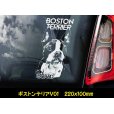 画像12: 【 ブルテリア ボストンテリア 】 スモークウインドウ に映える ホワイト 印字 カーステッカー 【図柄バリエーション】【外張り 内張り ブラック印字】 中型犬 大型犬 イギリス Bull Terrier / ミニチュアブルテリア 小型犬 【送料無料】【お取り寄せ】 マスティフ === ボストン・テリア 小型犬 アメリカ Boston Terrier ブルドッグ ブリー 犬 わんちゃん 愛犬 カー・ステッカー 外貼り 内貼り ウインドウ 白色印字 黒色印字 / ブラック印字は 白いボディに (12)