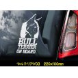 画像5: 【 ブルテリア ボストンテリア 】 スモークウインドウ に映える ホワイト 印字 カーステッカー 【図柄バリエーション】【外張り 内張り ブラック印字】 中型犬 大型犬 イギリス Bull Terrier / ミニチュアブルテリア 小型犬 【送料無料】【お取り寄せ】 マスティフ === ボストン・テリア 小型犬 アメリカ Boston Terrier ブルドッグ ブリー 犬 わんちゃん 愛犬 カー・ステッカー 外貼り 内貼り ウインドウ 白色印字 黒色印字 / ブラック印字は 白いボディに (5)