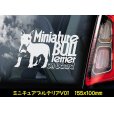 画像11: 【 ブルテリア ボストンテリア 】 スモークウインドウ に映える ホワイト 印字 カーステッカー 【図柄バリエーション】【外張り 内張り ブラック印字】 中型犬 大型犬 イギリス Bull Terrier / ミニチュアブルテリア 小型犬 【送料無料】【お取り寄せ】 マスティフ === ボストン・テリア 小型犬 アメリカ Boston Terrier ブルドッグ ブリー 犬 わんちゃん 愛犬 カー・ステッカー 外貼り 内貼り ウインドウ 白色印字 黒色印字 / ブラック印字は 白いボディに (11)