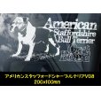 画像19: 【 アメリカンスタッフォードシャーテリア 】 スモークウインドウ に映える ホワイト 印字 カーステッカー 【図柄バリエーション】【外張り 内張り ブラック印字】 大型犬 アメリカ Staffordshire Terrier アムスタッフ Amstaff 【送料無料】【お取り寄せ】 マスティフ === アメリカン・スタッフォードシャー・テリア アムスタフィー アメスタ ブルドッグ ピットブル ブリー 犬 愛犬 カー・ステッカー 外貼り 内貼り 白色印字 黒色印字 愛犬ステッカー / ブラック印字は 白いボディに (19)
