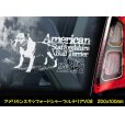 画像7: 【 アメリカンスタッフォードシャーテリア 】 スモークウインドウ に映える ホワイト 印字 カーステッカー 【図柄バリエーション】【外張り 内張り ブラック印字】 大型犬 アメリカ Staffordshire Terrier アムスタッフ Amstaff 【送料無料】【お取り寄せ】 マスティフ === アメリカン・スタッフォードシャー・テリア アムスタフィー アメスタ ブルドッグ ピットブル ブリー 犬 愛犬 カー・ステッカー 外貼り 内貼り 白色印字 黒色印字 愛犬ステッカー / ブラック印字は 白いボディに (7)