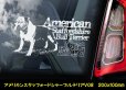 画像7: 【 アメリカンスタッフォードシャーテリア 】 スモークウインドウ に映える ホワイト 印字 カーステッカー 【図柄バリエーション】【外張り 内張り ブラック印字】 大型犬 アメリカ Staffordshire Terrier アムスタッフ Amstaff 【送料無料】【お取り寄せ】 マスティフ === アメリカン・スタッフォードシャー・テリア アムスタフィー アメスタ ブルドッグ ピットブル ブリー 犬 愛犬 カー・ステッカー 外貼り 内貼り 白色印字 黒色印字 愛犬ステッカー / ブラック印字は 白いボディに