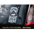 画像4: 【 アメリカンスタッフォードシャーテリア 】 スモークウインドウ に映える ホワイト 印字 カーステッカー 【図柄バリエーション】【外張り 内張り ブラック印字】 大型犬 アメリカ Staffordshire Terrier アムスタッフ Amstaff 【送料無料】【お取り寄せ】 マスティフ === アメリカン・スタッフォードシャー・テリア アムスタフィー アメスタ ブルドッグ ピットブル ブリー 犬 愛犬 カー・ステッカー 外貼り 内貼り 白色印字 黒色印字 愛犬ステッカー / ブラック印字は 白いボディに (4)