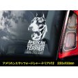 画像10: 【 アメリカンスタッフォードシャーテリア 】 スモークウインドウ に映える ホワイト 印字 カーステッカー 【図柄バリエーション】【外張り 内張り ブラック印字】 大型犬 アメリカ Staffordshire Terrier アムスタッフ Amstaff 【送料無料】【お取り寄せ】 マスティフ === アメリカン・スタッフォードシャー・テリア アムスタフィー アメスタ ブルドッグ ピットブル ブリー 犬 愛犬 カー・ステッカー 外貼り 内貼り 白色印字 黒色印字 愛犬ステッカー / ブラック印字は 白いボディに (10)