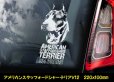 画像10: 【 アメリカンスタッフォードシャーテリア 】 スモークウインドウ に映える ホワイト 印字 カーステッカー 【図柄バリエーション】【外張り 内張り ブラック印字】 大型犬 アメリカ Staffordshire Terrier アムスタッフ Amstaff 【送料無料】【お取り寄せ】 マスティフ === アメリカン・スタッフォードシャー・テリア アムスタフィー アメスタ ブルドッグ ピットブル ブリー 犬 愛犬 カー・ステッカー 外貼り 内貼り 白色印字 黒色印字 愛犬ステッカー / ブラック印字は 白いボディに