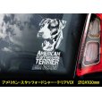 画像3: 【 アメリカンスタッフォードシャーテリア 】 スモークウインドウ に映える ホワイト 印字 カーステッカー 【図柄バリエーション】【外張り 内張り ブラック印字】 大型犬 アメリカ Staffordshire Terrier アムスタッフ Amstaff 【送料無料】【お取り寄せ】 マスティフ === アメリカン・スタッフォードシャー・テリア アムスタフィー アメスタ ブルドッグ ピットブル ブリー 犬 愛犬 カー・ステッカー 外貼り 内貼り 白色印字 黒色印字 愛犬ステッカー / ブラック印字は 白いボディに (3)