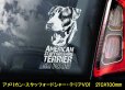 画像3: 【 アメリカンスタッフォードシャーテリア 】 スモークウインドウ に映える ホワイト 印字 カーステッカー 【図柄バリエーション】【外張り 内張り ブラック印字】 大型犬 アメリカ Staffordshire Terrier アムスタッフ Amstaff 【送料無料】【お取り寄せ】 マスティフ === アメリカン・スタッフォードシャー・テリア アムスタフィー アメスタ ブルドッグ ピットブル ブリー 犬 愛犬 カー・ステッカー 外貼り 内貼り 白色印字 黒色印字 愛犬ステッカー / ブラック印字は 白いボディに
