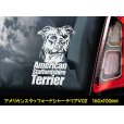 画像6: 【 アメリカンスタッフォードシャーテリア 】 スモークウインドウ に映える ホワイト 印字 カーステッカー 【図柄バリエーション】【外張り 内張り ブラック印字】 大型犬 アメリカ Staffordshire Terrier アムスタッフ Amstaff 【送料無料】【お取り寄せ】 マスティフ === アメリカン・スタッフォードシャー・テリア アムスタフィー アメスタ ブルドッグ ピットブル ブリー 犬 愛犬 カー・ステッカー 外貼り 内貼り 白色印字 黒色印字 愛犬ステッカー / ブラック印字は 白いボディに (6)