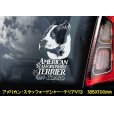 画像11: 【 アメリカンスタッフォードシャーテリア 】 スモークウインドウ に映える ホワイト 印字 カーステッカー 【図柄バリエーション】【外張り 内張り ブラック印字】 大型犬 アメリカ Staffordshire Terrier アムスタッフ Amstaff 【送料無料】【お取り寄せ】 マスティフ === アメリカン・スタッフォードシャー・テリア アムスタフィー アメスタ ブルドッグ ピットブル ブリー 犬 愛犬 カー・ステッカー 外貼り 内貼り 白色印字 黒色印字 愛犬ステッカー / ブラック印字は 白いボディに (11)