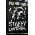 画像25: 【 アメリカンスタッフォードシャーテリア 】 スモークウインドウ に映える ホワイト 印字 カーステッカー 【図柄バリエーション】【外張り 内張り ブラック印字】 大型犬 アメリカ Staffordshire Terrier アムスタッフ Amstaff 【送料無料】【お取り寄せ】 マスティフ === アメリカン・スタッフォードシャー・テリア アムスタフィー アメスタ ブルドッグ ピットブル ブリー 犬 愛犬 カー・ステッカー 外貼り 内貼り 白色印字 黒色印字 愛犬ステッカー / ブラック印字は 白いボディに (25)