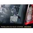 画像9: 【 アメリカンスタッフォードシャーテリア 】 スモークウインドウ に映える ホワイト 印字 カーステッカー 【図柄バリエーション】【外張り 内張り ブラック印字】 大型犬 アメリカ Staffordshire Terrier アムスタッフ Amstaff 【送料無料】【お取り寄せ】 マスティフ === アメリカン・スタッフォードシャー・テリア アムスタフィー アメスタ ブルドッグ ピットブル ブリー 犬 愛犬 カー・ステッカー 外貼り 内貼り 白色印字 黒色印字 愛犬ステッカー / ブラック印字は 白いボディに (9)