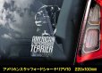 画像9: 【 アメリカンスタッフォードシャーテリア 】 スモークウインドウ に映える ホワイト 印字 カーステッカー 【図柄バリエーション】【外張り 内張り ブラック印字】 大型犬 アメリカ Staffordshire Terrier アムスタッフ Amstaff 【送料無料】【お取り寄せ】 マスティフ === アメリカン・スタッフォードシャー・テリア アムスタフィー アメスタ ブルドッグ ピットブル ブリー 犬 愛犬 カー・ステッカー 外貼り 内貼り 白色印字 黒色印字 愛犬ステッカー / ブラック印字は 白いボディに