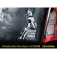 画像8: 【 アメリカンスタッフォードシャーテリア 】 スモークウインドウ に映える ホワイト 印字 カーステッカー 【図柄バリエーション】【外張り 内張り ブラック印字】 大型犬 アメリカ Staffordshire Terrier アムスタッフ Amstaff 【送料無料】【お取り寄せ】 マスティフ === アメリカン・スタッフォードシャー・テリア アムスタフィー アメスタ ブルドッグ ピットブル ブリー 犬 愛犬 カー・ステッカー 外貼り 内貼り 白色印字 黒色印字 愛犬ステッカー / ブラック印字は 白いボディに (8)