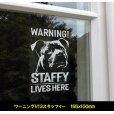 画像13: 【 アメリカンスタッフォードシャーテリア 】 スモークウインドウ に映える ホワイト 印字 カーステッカー 【図柄バリエーション】【外張り 内張り ブラック印字】 大型犬 アメリカ Staffordshire Terrier アムスタッフ Amstaff 【送料無料】【お取り寄せ】 マスティフ === アメリカン・スタッフォードシャー・テリア アムスタフィー アメスタ ブルドッグ ピットブル ブリー 犬 愛犬 カー・ステッカー 外貼り 内貼り 白色印字 黒色印字 愛犬ステッカー / ブラック印字は 白いボディに (13)