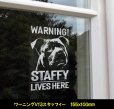 画像13: 【 アメリカンスタッフォードシャーテリア 】 スモークウインドウ に映える ホワイト 印字 カーステッカー 【図柄バリエーション】【外張り 内張り ブラック印字】 大型犬 アメリカ Staffordshire Terrier アムスタッフ Amstaff 【送料無料】【お取り寄せ】 マスティフ === アメリカン・スタッフォードシャー・テリア アムスタフィー アメスタ ブルドッグ ピットブル ブリー 犬 愛犬 カー・ステッカー 外貼り 内貼り 白色印字 黒色印字 愛犬ステッカー / ブラック印字は 白いボディに