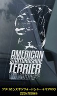 画像21: 【 アメリカンスタッフォードシャーテリア 】 スモークウインドウ に映える ホワイト 印字 カーステッカー 【図柄バリエーション】【外張り 内張り ブラック印字】 大型犬 アメリカ Staffordshire Terrier アムスタッフ Amstaff 【送料無料】【お取り寄せ】 マスティフ === アメリカン・スタッフォードシャー・テリア アムスタフィー アメスタ ブルドッグ ピットブル ブリー 犬 愛犬 カー・ステッカー 外貼り 内貼り 白色印字 黒色印字 愛犬ステッカー / ブラック印字は 白いボディに