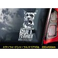 画像8: 【 スタッフォードシャーブルテリア 】 スモークウインドウ に映える ホワイト 印字 カーステッカー 【図柄バリエーション】【外張り 内張り ブラック印字】 スタッフォードシャー・ブルテリア 中型犬 イギリス Staffordshire Bull Terrier 【送料無料】【お取り寄せ】 === Staffie Staffy ピット・ドッグ スタッフォードシャー・ブル・テリア パッチド・ブル スタッフィー ブルドッグ ブル ブリー 愛犬 カー・ステッカー 外貼り 内貼り 白色印字 黒色印字 / ブラック印字は 白いボディに (8)