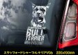 画像8: 【 スタッフォードシャーブルテリア 】 スモークウインドウ に映える ホワイト 印字 カーステッカー 【図柄バリエーション】【外張り 内張り ブラック印字】 スタッフォードシャー・ブルテリア 中型犬 イギリス Staffordshire Bull Terrier 【送料無料】【お取り寄せ】 === Staffie Staffy ピット・ドッグ スタッフォードシャー・ブル・テリア パッチド・ブル スタッフィー ブルドッグ ブル ブリー 愛犬 カー・ステッカー 外貼り 内貼り 白色印字 黒色印字 / ブラック印字は 白いボディに