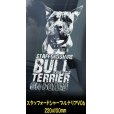 画像18: 【 スタッフォードシャーブルテリア 】 スモークウインドウ に映える ホワイト 印字 カーステッカー 【図柄バリエーション】【外張り 内張り ブラック印字】 スタッフォードシャー・ブルテリア 中型犬 イギリス Staffordshire Bull Terrier 【送料無料】【お取り寄せ】 === Staffie Staffy ピット・ドッグ スタッフォードシャー・ブル・テリア パッチド・ブル スタッフィー ブルドッグ ブル ブリー 愛犬 カー・ステッカー 外貼り 内貼り 白色印字 黒色印字 / ブラック印字は 白いボディに (18)