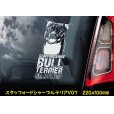 画像9: 【 スタッフォードシャーブルテリア 】 スモークウインドウ に映える ホワイト 印字 カーステッカー 【図柄バリエーション】【外張り 内張り ブラック印字】 スタッフォードシャー・ブルテリア 中型犬 イギリス Staffordshire Bull Terrier 【送料無料】【お取り寄せ】 === Staffie Staffy ピット・ドッグ スタッフォードシャー・ブル・テリア パッチド・ブル スタッフィー ブルドッグ ブル ブリー 愛犬 カー・ステッカー 外貼り 内貼り 白色印字 黒色印字 / ブラック印字は 白いボディに (9)