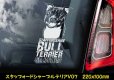 画像9: 【 スタッフォードシャーブルテリア 】 スモークウインドウ に映える ホワイト 印字 カーステッカー 【図柄バリエーション】【外張り 内張り ブラック印字】 スタッフォードシャー・ブルテリア 中型犬 イギリス Staffordshire Bull Terrier 【送料無料】【お取り寄せ】 === Staffie Staffy ピット・ドッグ スタッフォードシャー・ブル・テリア パッチド・ブル スタッフィー ブルドッグ ブル ブリー 愛犬 カー・ステッカー 外貼り 内貼り 白色印字 黒色印字 / ブラック印字は 白いボディに