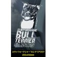 画像19: 【 スタッフォードシャーブルテリア 】 スモークウインドウ に映える ホワイト 印字 カーステッカー 【図柄バリエーション】【外張り 内張り ブラック印字】 スタッフォードシャー・ブルテリア 中型犬 イギリス Staffordshire Bull Terrier 【送料無料】【お取り寄せ】 === Staffie Staffy ピット・ドッグ スタッフォードシャー・ブル・テリア パッチド・ブル スタッフィー ブルドッグ ブル ブリー 愛犬 カー・ステッカー 外貼り 内貼り 白色印字 黒色印字 / ブラック印字は 白いボディに (19)