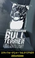 画像19: 【 スタッフォードシャーブルテリア 】 スモークウインドウ に映える ホワイト 印字 カーステッカー 【図柄バリエーション】【外張り 内張り ブラック印字】 スタッフォードシャー・ブルテリア 中型犬 イギリス Staffordshire Bull Terrier 【送料無料】【お取り寄せ】 === Staffie Staffy ピット・ドッグ スタッフォードシャー・ブル・テリア パッチド・ブル スタッフィー ブルドッグ ブル ブリー 愛犬 カー・ステッカー 外貼り 内貼り 白色印字 黒色印字 / ブラック印字は 白いボディに