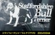 画像20: 【 スタッフォードシャーブルテリア 】 スモークウインドウ に映える ホワイト 印字 カーステッカー 【図柄バリエーション】【外張り 内張り ブラック印字】 スタッフォードシャー・ブルテリア 中型犬 イギリス Staffordshire Bull Terrier 【送料無料】【お取り寄せ】 === Staffie Staffy ピット・ドッグ スタッフォードシャー・ブル・テリア パッチド・ブル スタッフィー ブルドッグ ブル ブリー 愛犬 カー・ステッカー 外貼り 内貼り 白色印字 黒色印字 / ブラック印字は 白いボディに