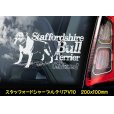 画像10: 【 スタッフォードシャーブルテリア 】 スモークウインドウ に映える ホワイト 印字 カーステッカー 【図柄バリエーション】【外張り 内張り ブラック印字】 スタッフォードシャー・ブルテリア 中型犬 イギリス Staffordshire Bull Terrier 【送料無料】【お取り寄せ】 === Staffie Staffy ピット・ドッグ スタッフォードシャー・ブル・テリア パッチド・ブル スタッフィー ブルドッグ ブル ブリー 愛犬 カー・ステッカー 外貼り 内貼り 白色印字 黒色印字 / ブラック印字は 白いボディに (10)