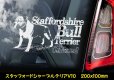 画像10: 【 スタッフォードシャーブルテリア 】 スモークウインドウ に映える ホワイト 印字 カーステッカー 【図柄バリエーション】【外張り 内張り ブラック印字】 スタッフォードシャー・ブルテリア 中型犬 イギリス Staffordshire Bull Terrier 【送料無料】【お取り寄せ】 === Staffie Staffy ピット・ドッグ スタッフォードシャー・ブル・テリア パッチド・ブル スタッフィー ブルドッグ ブル ブリー 愛犬 カー・ステッカー 外貼り 内貼り 白色印字 黒色印字 / ブラック印字は 白いボディに