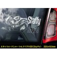 画像7: 【 スタッフォードシャーブルテリア 】 スモークウインドウ に映える ホワイト 印字 カーステッカー 【図柄バリエーション】【外張り 内張り ブラック印字】 スタッフォードシャー・ブルテリア 中型犬 イギリス Staffordshire Bull Terrier 【送料無料】【お取り寄せ】 === Staffie Staffy ピット・ドッグ スタッフォードシャー・ブル・テリア パッチド・ブル スタッフィー ブルドッグ ブル ブリー 愛犬 カー・ステッカー 外貼り 内貼り 白色印字 黒色印字 / ブラック印字は 白いボディに (7)