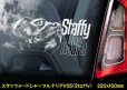 画像7: 【 スタッフォードシャーブルテリア 】 スモークウインドウ に映える ホワイト 印字 カーステッカー 【図柄バリエーション】【外張り 内張り ブラック印字】 スタッフォードシャー・ブルテリア 中型犬 イギリス Staffordshire Bull Terrier 【送料無料】【お取り寄せ】 === Staffie Staffy ピット・ドッグ スタッフォードシャー・ブル・テリア パッチド・ブル スタッフィー ブルドッグ ブル ブリー 愛犬 カー・ステッカー 外貼り 内貼り 白色印字 黒色印字 / ブラック印字は 白いボディに