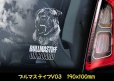 画像5: 【 ブルマスティフ 】 スモークウインドウ に映える ホワイト 印字 カーステッカー 【図柄バリエーション】【外張り 内張り ブラック印字】 大型犬 イギリス Bullmastiff 【送料無料】【お取り寄せ】 格好いい 愛犬ステッカー === ブル・マスティフ ブル マスティフ Bull Mastiff ブルドッグ ブリー 犬 わちゃん ワンちゃん カー・ステッカー 外貼り 白色印字 カー ステッカー / ブラック印字は 白いボディに