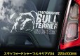 画像6: 【 スタッフォードシャーブルテリア 】 スモークウインドウ に映える ホワイト 印字 カーステッカー 【図柄バリエーション】【外張り 内張り ブラック印字】 スタッフォードシャー・ブルテリア 中型犬 イギリス Staffordshire Bull Terrier 【送料無料】【お取り寄せ】 === Staffie Staffy ピット・ドッグ スタッフォードシャー・ブル・テリア パッチド・ブル スタッフィー ブルドッグ ブル ブリー 愛犬 カー・ステッカー 外貼り 内貼り 白色印字 黒色印字 / ブラック印字は 白いボディに