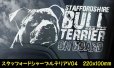画像16: 【 スタッフォードシャーブルテリア 】 スモークウインドウ に映える ホワイト 印字 カーステッカー 【図柄バリエーション】【外張り 内張り ブラック印字】 スタッフォードシャー・ブルテリア 中型犬 イギリス Staffordshire Bull Terrier 【送料無料】【お取り寄せ】 === Staffie Staffy ピット・ドッグ スタッフォードシャー・ブル・テリア パッチド・ブル スタッフィー ブルドッグ ブル ブリー 愛犬 カー・ステッカー 外貼り 内貼り 白色印字 黒色印字 / ブラック印字は 白いボディに