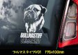 画像3: 【 ブルマスティフ 】 スモークウインドウ に映える ホワイト 印字 カーステッカー 【図柄バリエーション】【外張り 内張り ブラック印字】 大型犬 イギリス Bullmastiff 【送料無料】【お取り寄せ】 格好いい 愛犬ステッカー === ブル・マスティフ ブル マスティフ Bull Mastiff ブルドッグ ブリー 犬 わちゃん ワンちゃん カー・ステッカー 外貼り 白色印字 カー ステッカー / ブラック印字は 白いボディに