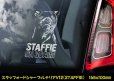 画像12: 【 スタッフォードシャーブルテリア 】 スモークウインドウ に映える ホワイト 印字 カーステッカー 【図柄バリエーション】【外張り 内張り ブラック印字】 スタッフォードシャー・ブルテリア 中型犬 イギリス Staffordshire Bull Terrier 【送料無料】【お取り寄せ】 === Staffie Staffy ピット・ドッグ スタッフォードシャー・ブル・テリア パッチド・ブル スタッフィー ブルドッグ ブル ブリー 愛犬 カー・ステッカー 外貼り 内貼り 白色印字 黒色印字 / ブラック印字は 白いボディに