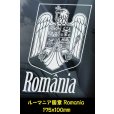 画像9: 【 東欧の国章 】 スモークウインドウ に映える 白印字 カーステッカー /黒色印字 白いボディ【図柄バリエーション】【外張り 内張り黒色印字】 ウクライナ国章 UKRAINE ルーマニア国章 Romania ポルスカ POLSKA ポーランド国章  【送料無料】【お取り寄せ】 国旗 === 東ヨーロッパ ウクライナ語 YKPAIHA 国章 紋章 キエフ キーウ ナショナル・フラッグ カー・ステッカー 外貼り 内貼り カー ステッカー ブラック印字は 白いボディに (9)
