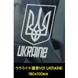 画像7: 【 東欧の国章 】 スモークウインドウ に映える 白印字 カーステッカー /黒色印字 白いボディ【図柄バリエーション】【外張り 内張り黒色印字】 ウクライナ国章 UKRAINE ルーマニア国章 Romania ポルスカ POLSKA ポーランド国章  【送料無料】【お取り寄せ】 国旗 === 東ヨーロッパ ウクライナ語 YKPAIHA 国章 紋章 キエフ キーウ ナショナル・フラッグ カー・ステッカー 外貼り 内貼り カー ステッカー ブラック印字は 白いボディに (7)