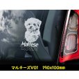 画像3: 【 マルチーズ 】 スモークウインドウ に映える ホワイト 印字 カーステッカー 【図柄バリエーション】【外張り 内張り ブラック印字】 小型犬 マルタ イタリア Maltese 【送料無料】【お取り寄せ】 テリア === ビション ビション系 身体障害者補助犬 介助犬 犬 わんちゃん 愛犬 カー・ステッカー 外貼り 内貼り ウインドウ 白色印字 黒色印字 可愛い 愛犬ステッカー / ブラック印字は 白いボディに (3)
